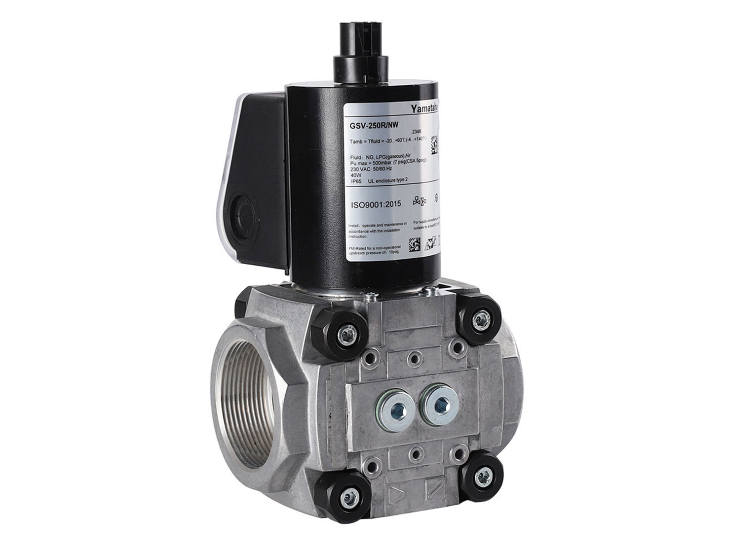 GSV-250R/NW (3)